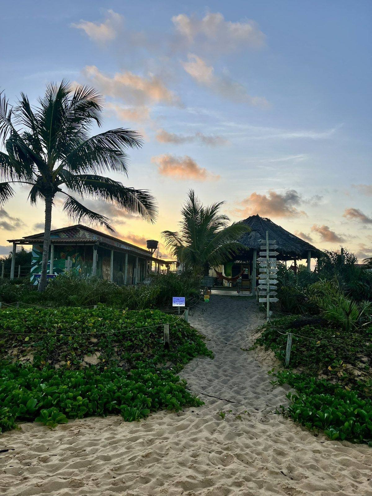 Caminho de areia entre a vegetação até as casas da OCA Caraíva ao entardecer
