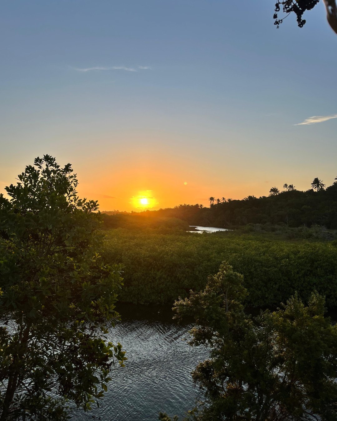 Vista do rio e do manguezal da Prainha ao pôr do sol